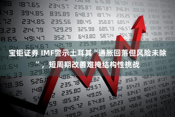 宝钜证券 IMF警示土耳其“通胀回落但风险未除”，短周期改善难掩结构性挑战