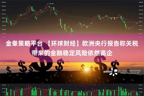金夆策略平台 【环球财经】欧洲央行报告称关税带来的金融稳定风险依然高企