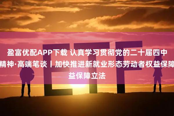 盈富优配APP下载 认真学习贯彻党的二十届四中全会精神·高端笔谈丨加快推进新就业形态劳动者权益保障立法